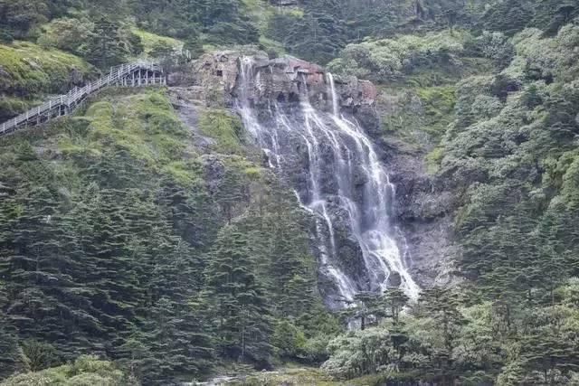 全民剧本大师内置菜单
